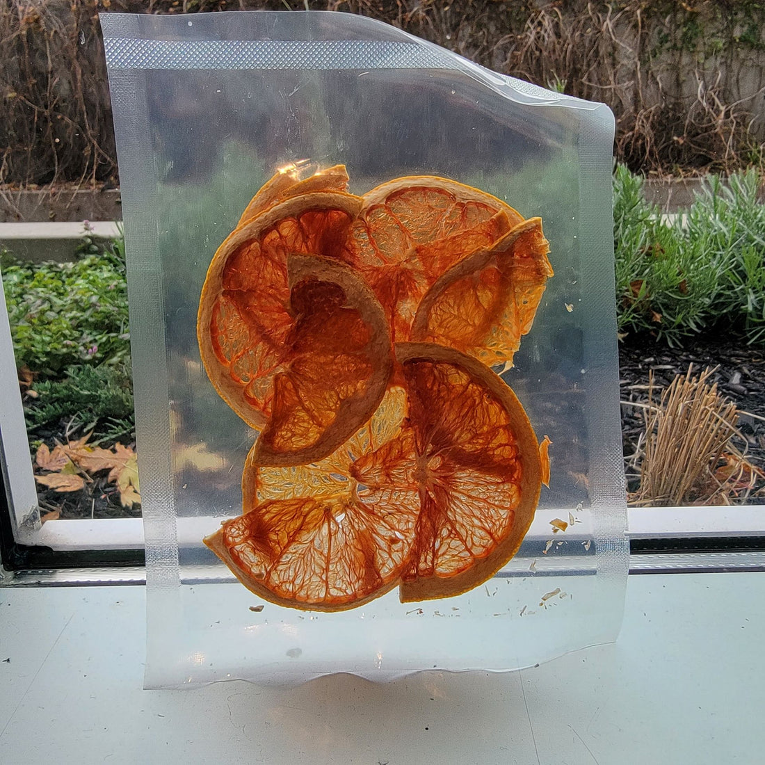 Dehydrated Citrus