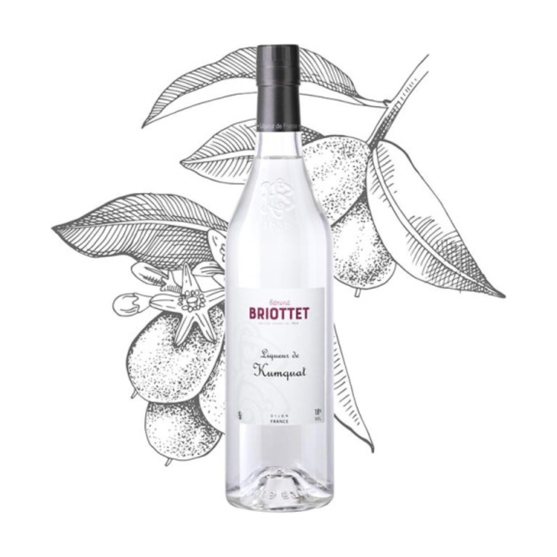Briottet Kumquat Liqueur