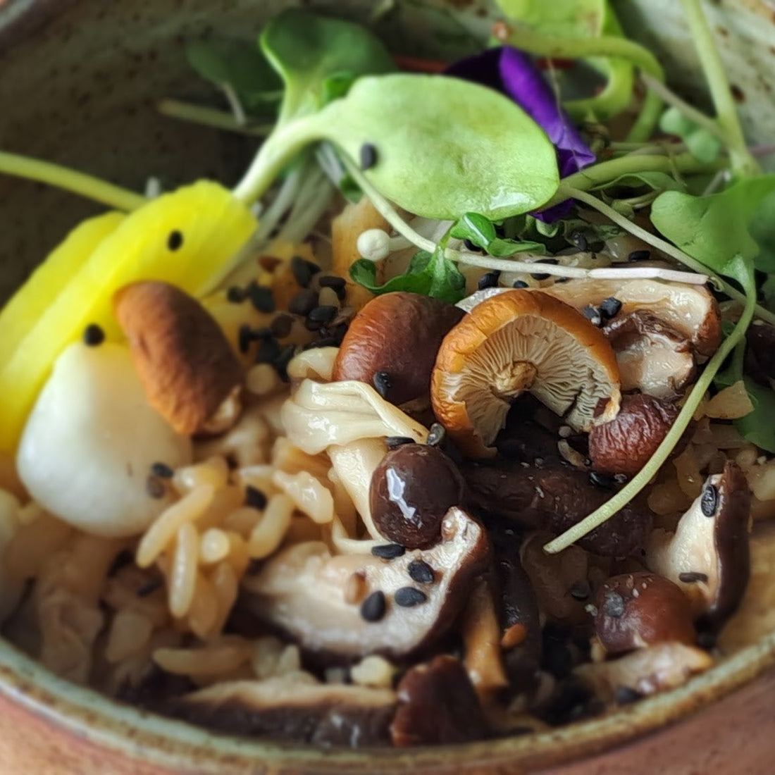 🌸🎌🍱 Fall into Japan - Japanese-Inspired Harvest Bites & Creative Cocktails - Friday, November 6th, 6PM-9PM