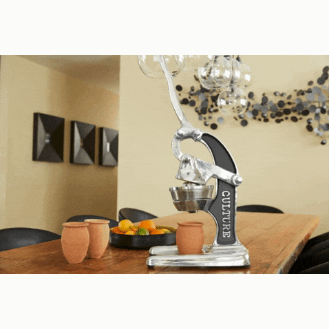 Large Citrus Juicer Press Stand