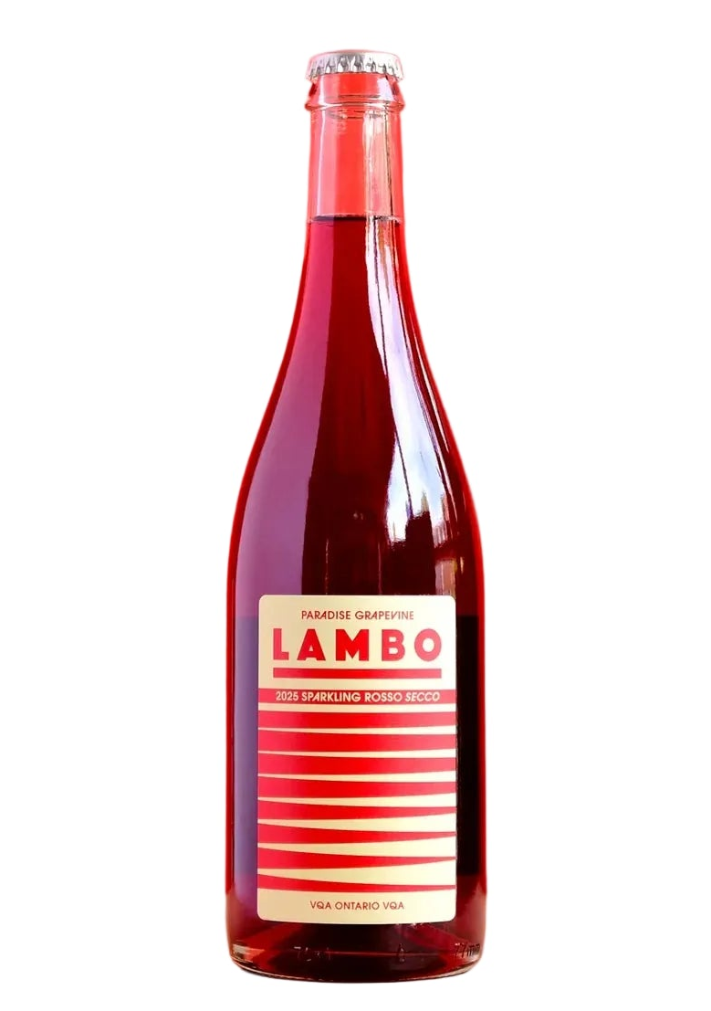 Paradise Grapevine 'Lambo'