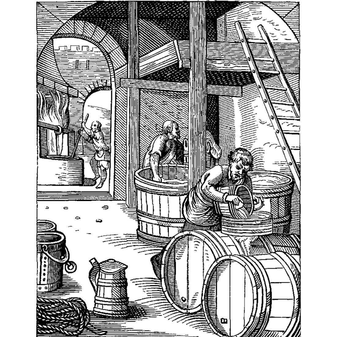 🍺Fermentation Masterclass Series - Introduction to Beer Making🍻 with Jonah Greenbaum-Shinder - Wednesday, April 22nd, 6PM-9PM