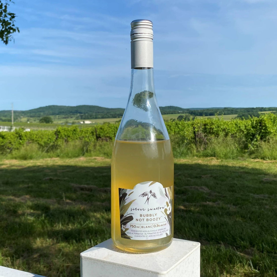 Silver Swallow Bubbly Not Boozy - Blanc